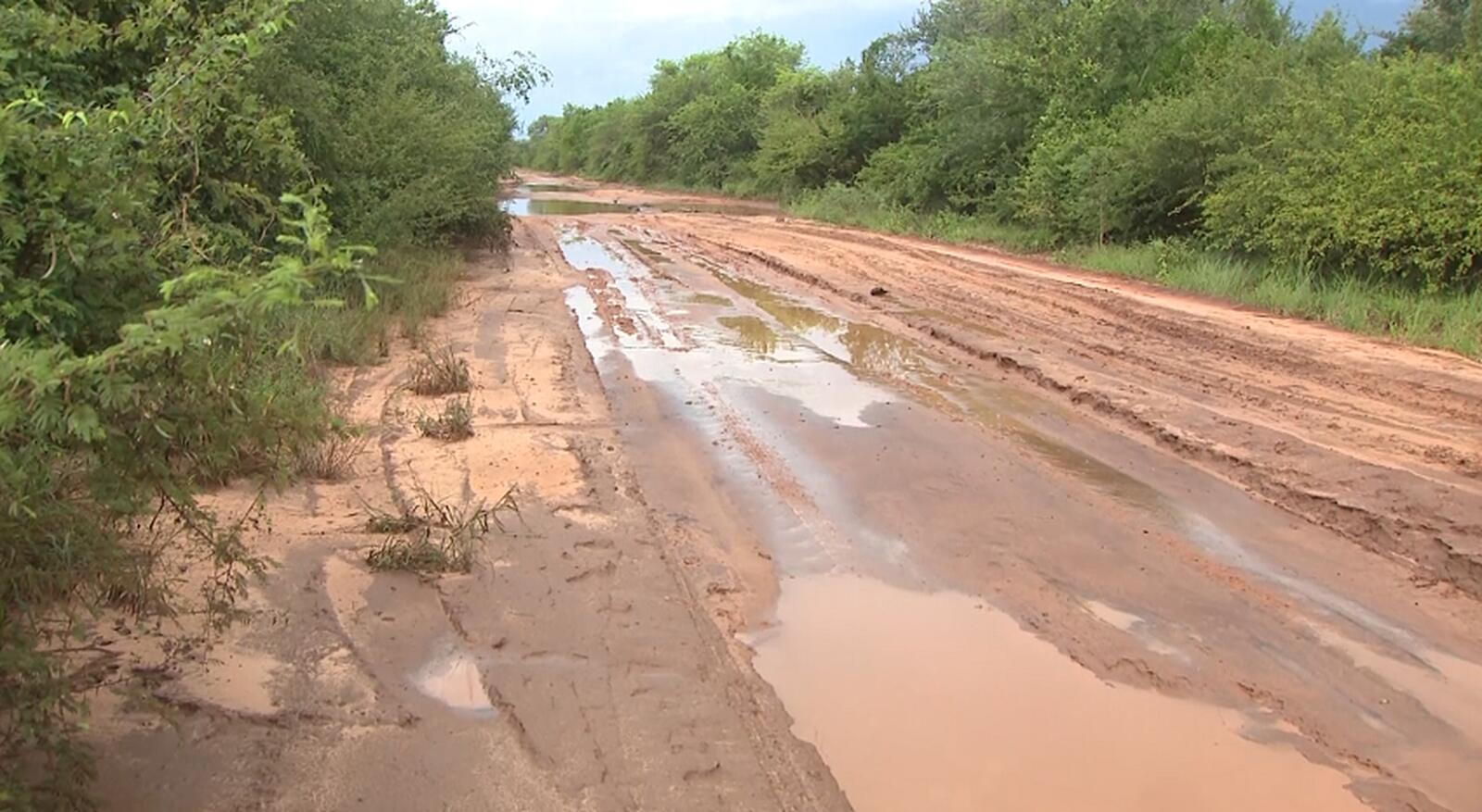 ESTRADA TETE.jpg