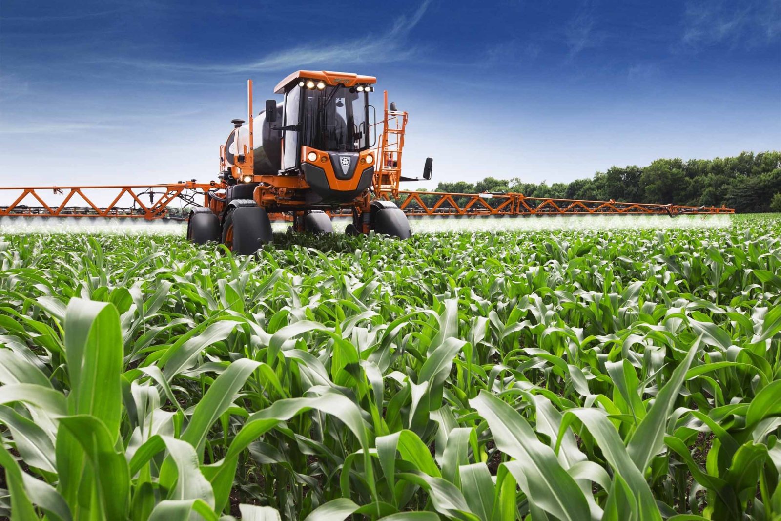 Agricultura moz.jpg