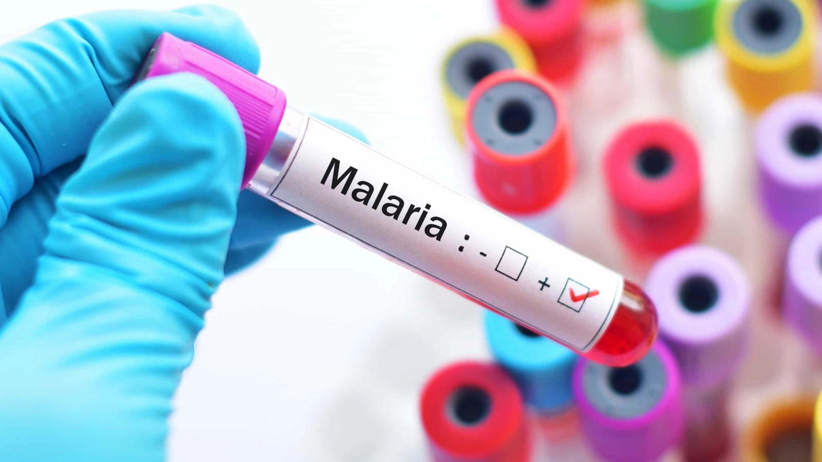 Malaria moc.jpg