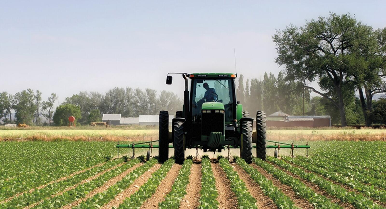Agricultura regadio do baixo limpopo.jpg