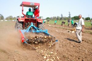 AGRICULTURA. arquivoSN 1.jpg